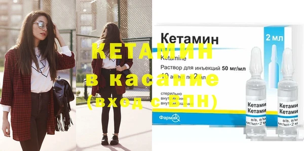 сатива Балахна