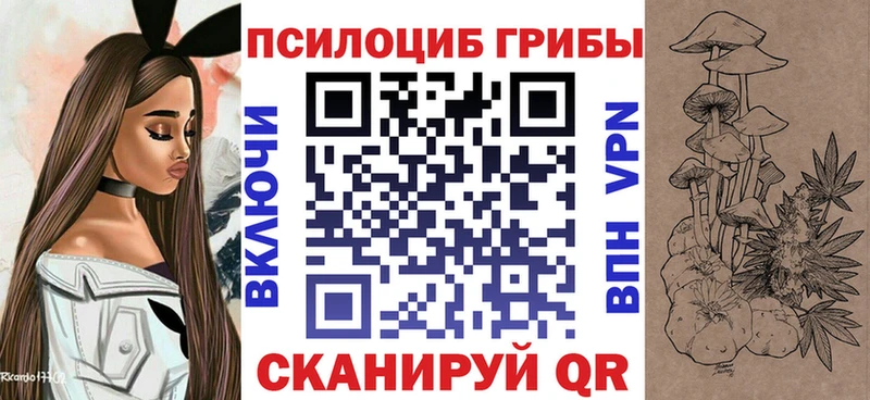 Псилоцибиновые грибы GOLDEN TEACHER  как найти закладки  Темников 